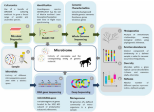 Assessing microbiome composition